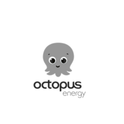 https://octopusenergy.it/