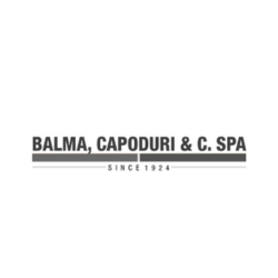 https://www.balmacapoduri.it/