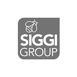 https://siggigroup.it/